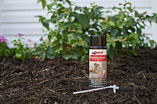12 oz 2-Pack Expanding Foam Barrier D79461