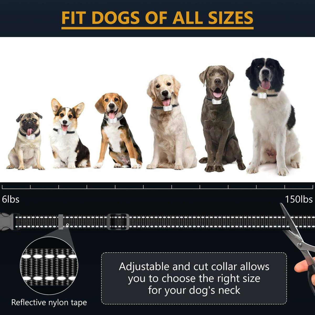Rechargeable Dog Bark Collar 2 Pack with 4 Adjustable Sensitivity B95611