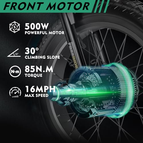 20" x 4" Fat Tire Electric Tricycle with Removable Battery E462468