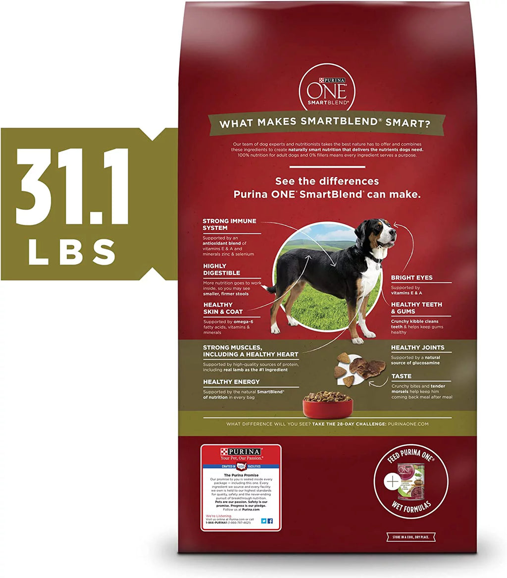 Natural Adult Lamb & Rice Dry Dog Food P762641