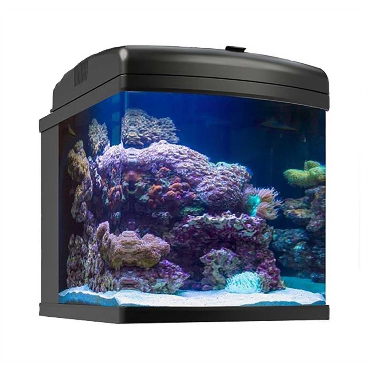 28g Nano Cube LED 40W L250574