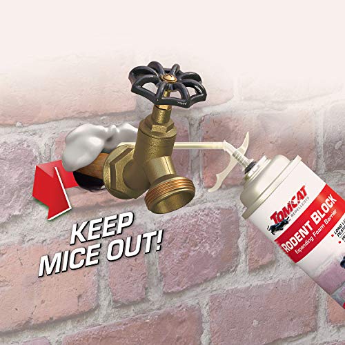 12 oz 2-Pack Expanding Foam Barrier D79461