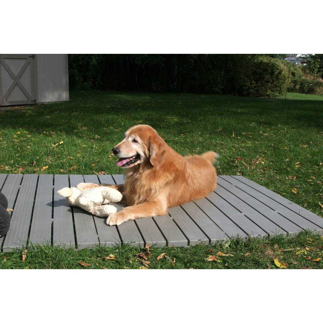 Set of 3 Pet Supplies V6329