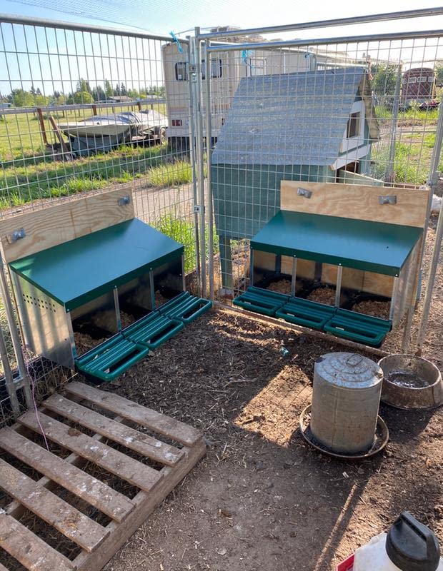 3 Compartment Roll Out Nesting Box for Chickens with Lid Cover E665
