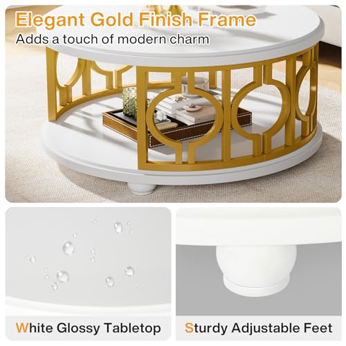 2-Tier Round Coffee Table with Storage Shelf M446542