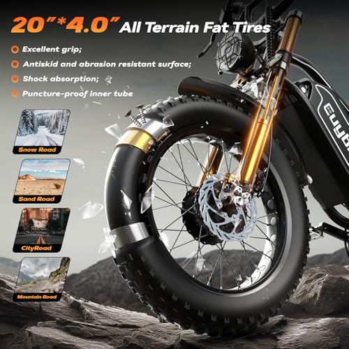 2000W Electric Bike with 48V Battery 20"x4.0" Fat Tires Q540643