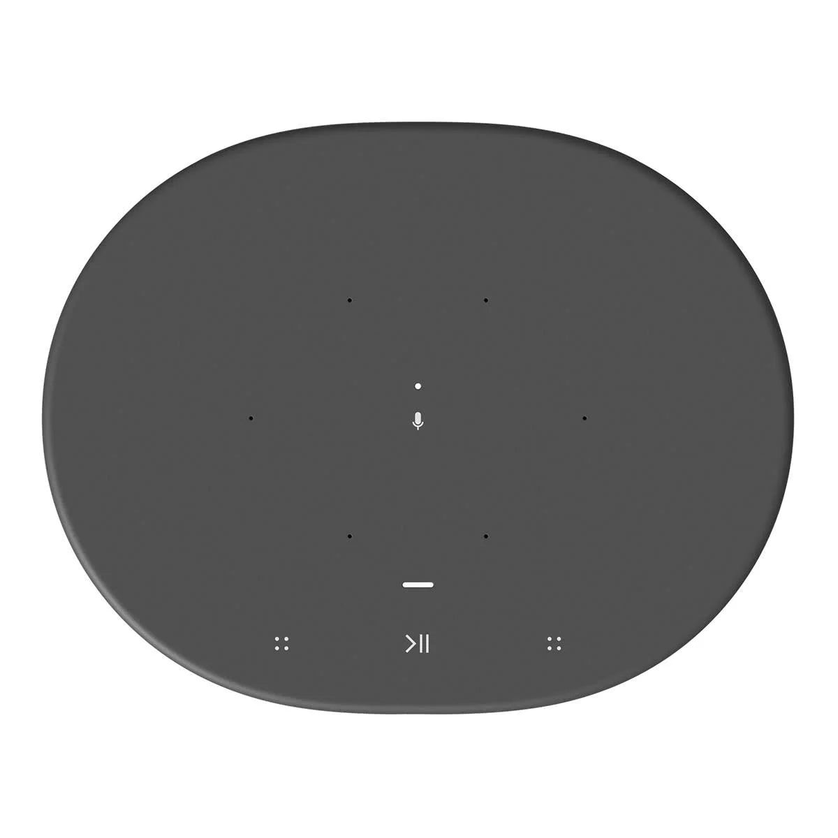 Black Portable Smart Battery-Powered Speaker with Bluetooth and Wi-Fi N2550