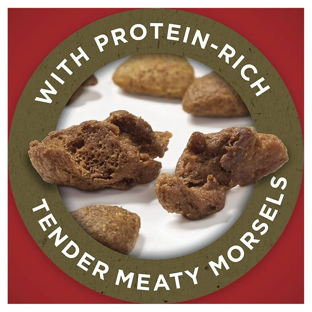 Natural Adult Lamb & Rice Dry Dog Food P762641