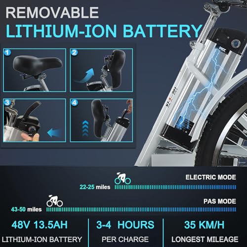 24" 3 Wheel Electric Tricycle with 350w Motor & Removable 36V 12Ah Lithium Battery R151