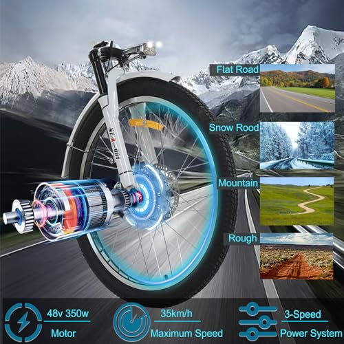 24" 3 Wheel Electric Tricycle with 350w Motor & Removable 36V 12Ah Lithium Battery R151