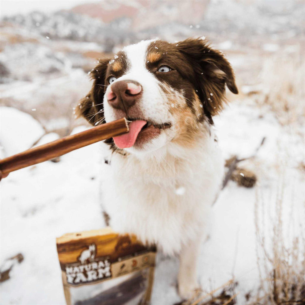 Odor Free Bully Sticks C636