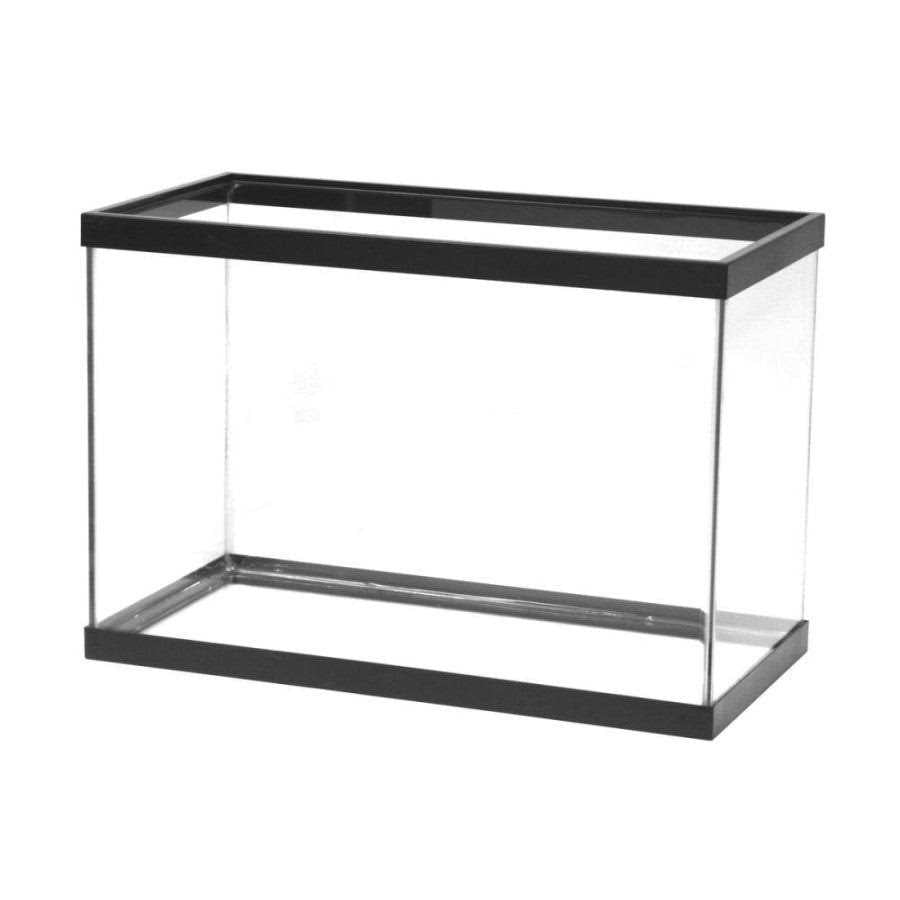 Standard Glass Rectangle Aquarium Q101