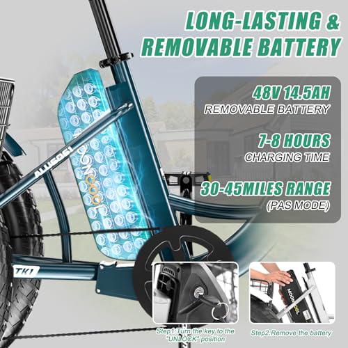20" x 4" Fat Tire Electric Tricycle with Removable Battery E462468