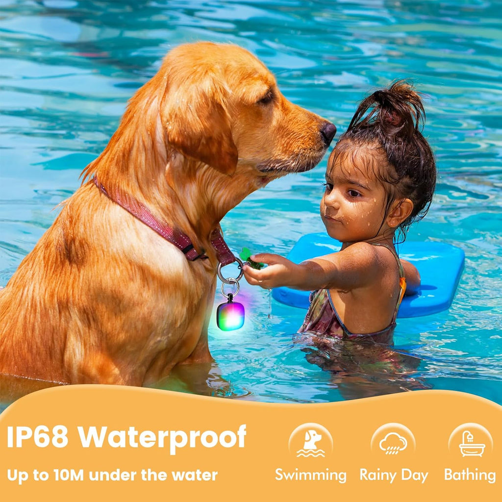 2 Packs USB Rechargeable IP68 Waterproof Dog Collar Light B850