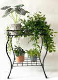 18.7'' Tall Rectangular Metal Plant Stand Black F958