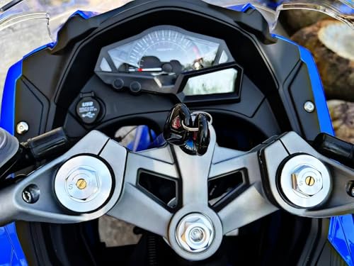 Electric Sport Motorcycle with Automatic Transmission T220