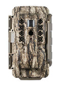 Cellular Trail Camera T21750