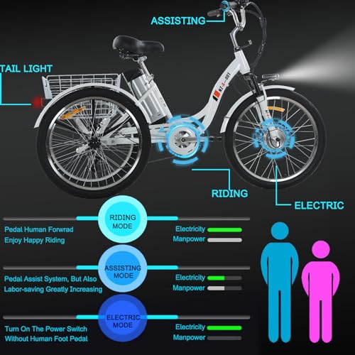 24" 3 Wheel Electric Tricycle with 350w Motor & Removable 36V 12Ah Lithium Battery R151