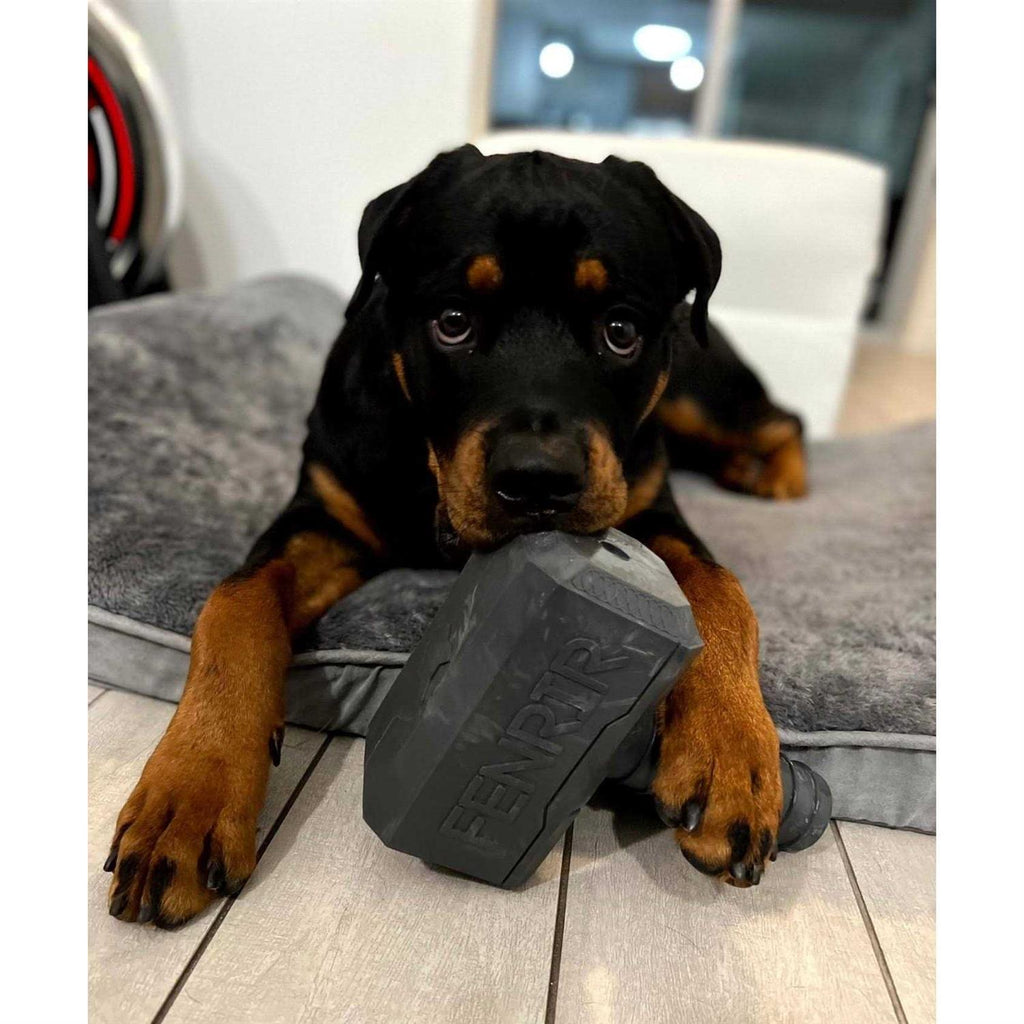 Hammer Chew Toy O356