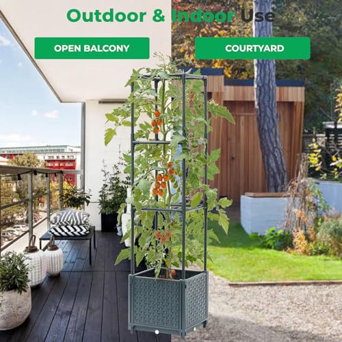 Raised Garden Bed with Tomato Planter Cage S166270