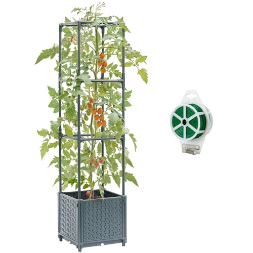 Raised Garden Bed with Tomato Planter Cage S166270