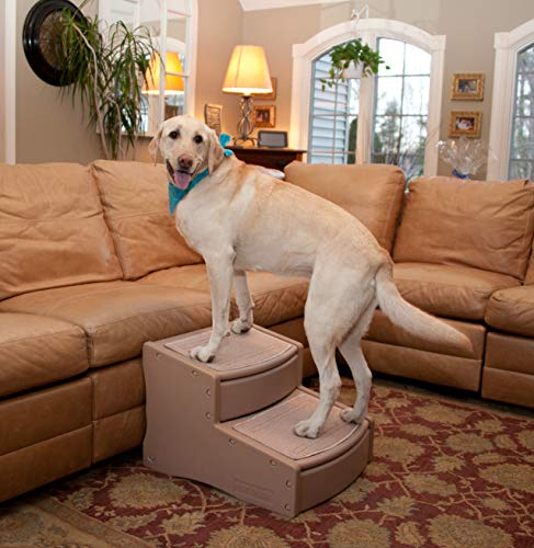 Chocolate 2-Step Pet Stairs P78823