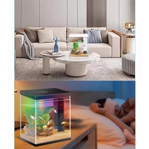 2 Gallon Glass Betta Fish Tank with Heater Filter and Light K81373
