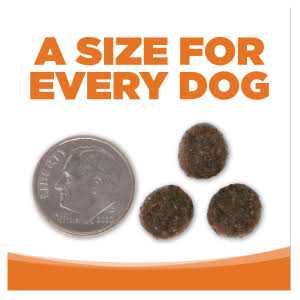 Grain Free Venison Red Lentils Dog Food I9294