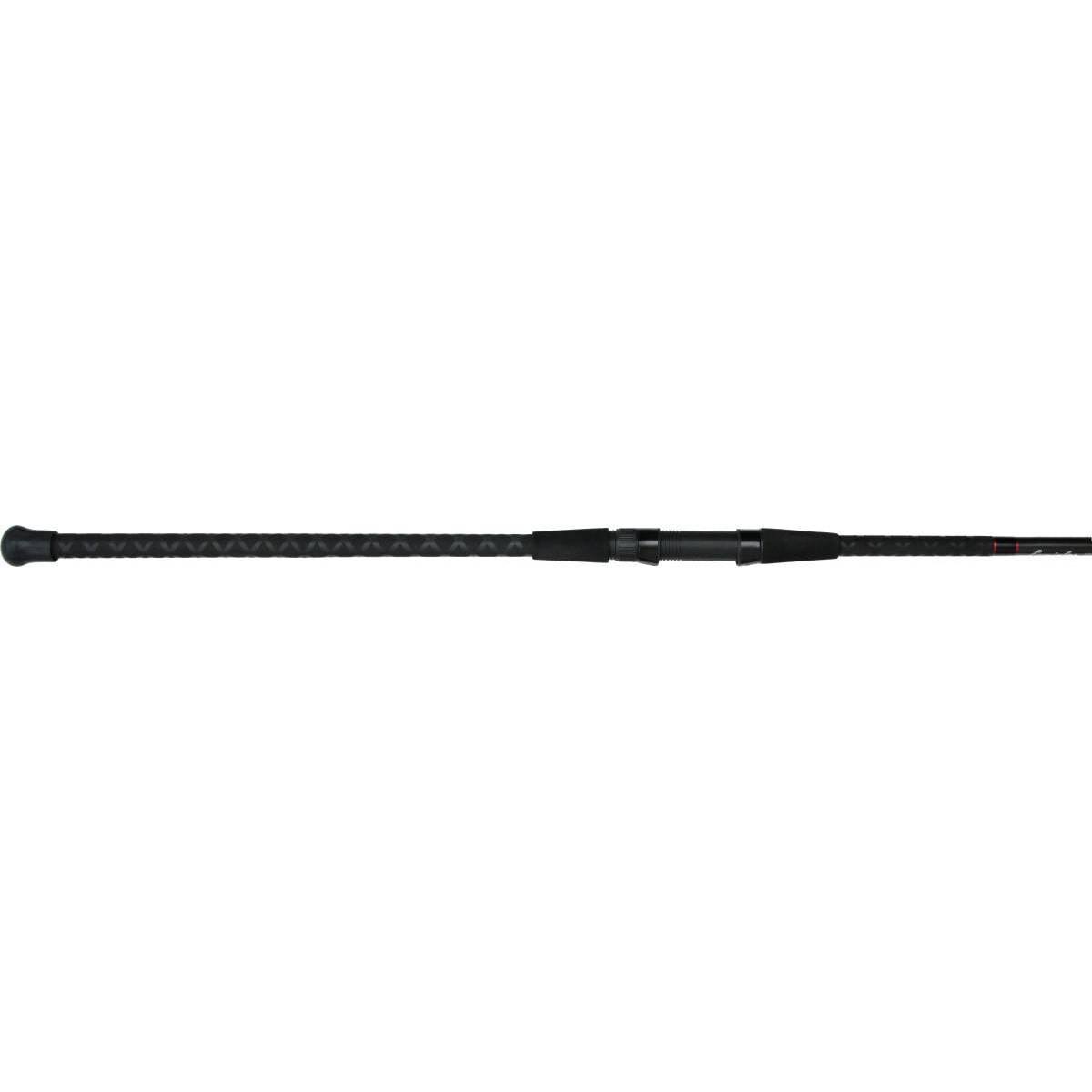 Lamiglas Insane Surf Spinning Rod W232