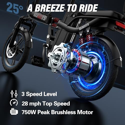 2 Seater Electric Bike, 16" Fat Tire, Full Suspension G4896