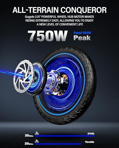 2 Seater Electric Bike, 16" Fat Tire, Full Suspension G4896