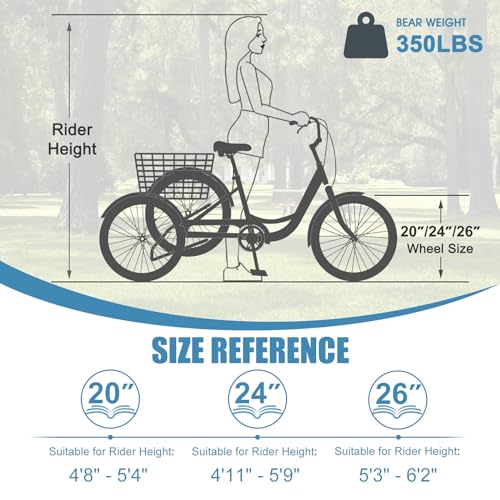 Adult 3 Wheel Bike 7 Speed with Shopping Basket Z7833