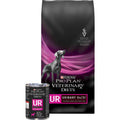 UR Ox/St Urinary Dry Dog Food S141006