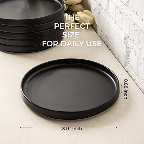 Ceramic Dinner Plates Set of 6, 10.0 Inch Matte Black Stoneware Q532867