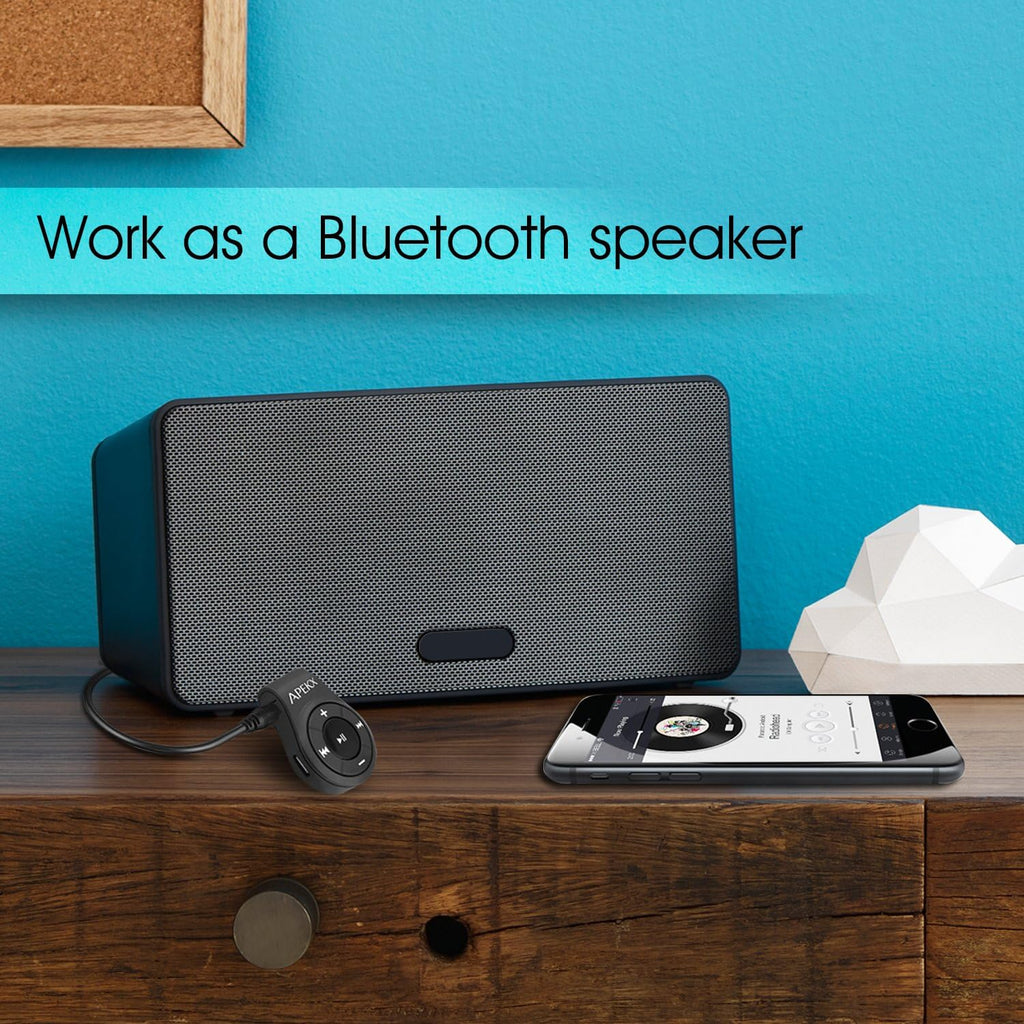 Bluetooth Audio Adapter with MIC U1253