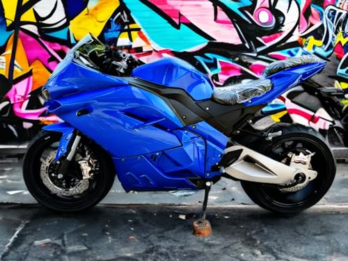 Electric Sport Motorcycle with Automatic Transmission T220