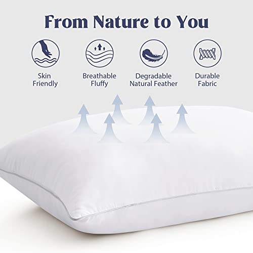 Set of 2 King Size Goose Feathers and Down White Pillows with Cotton Cover J8085