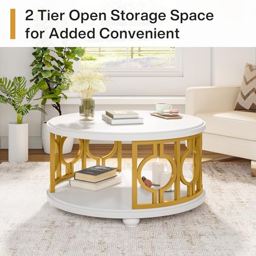 2-Tier Round Coffee Table with Storage Shelf M446542