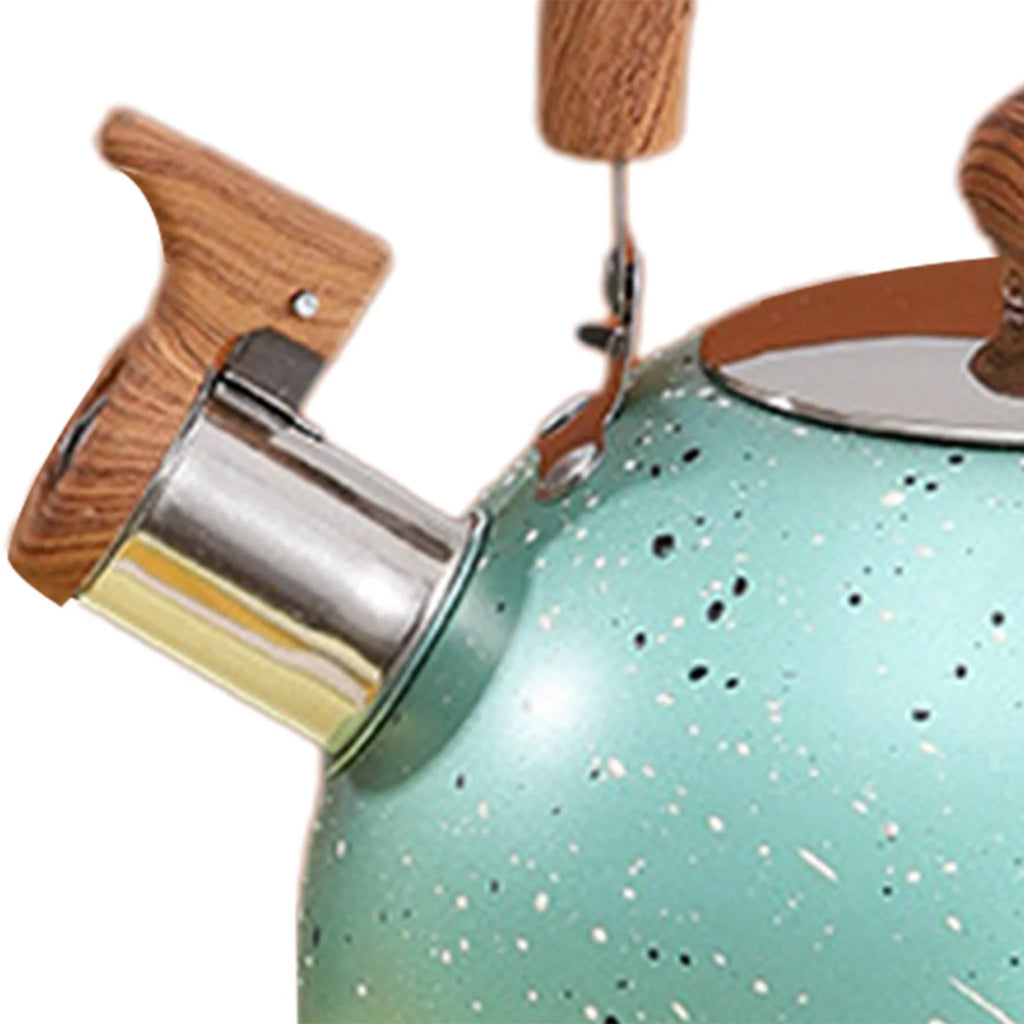 Green Stainless Whistling Water Kettle R6034
