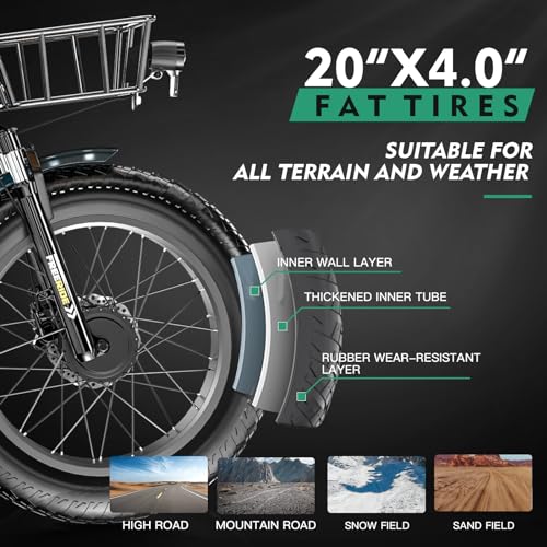 20" x 4" Fat Tire Electric Tricycle with Removable Battery E462468
