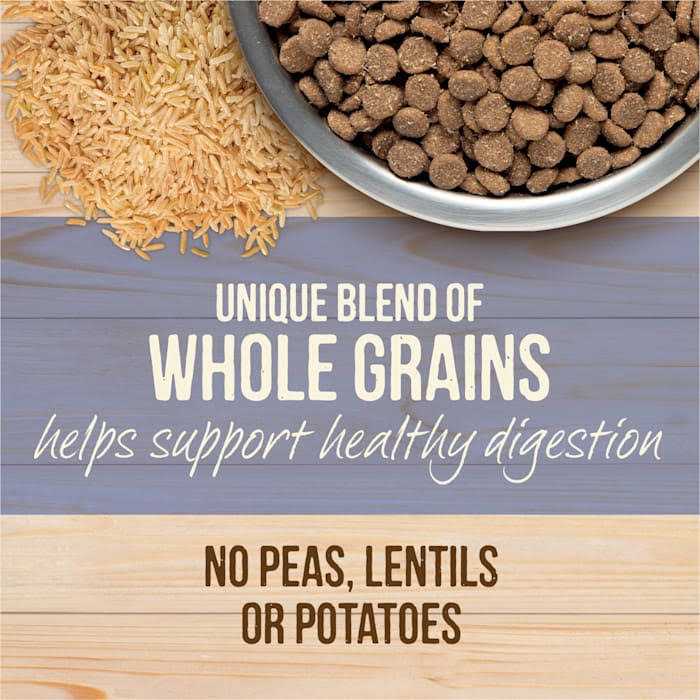 Freeze Dried Raw Coated Kibble Dry Dog Food Puppy Recipe Z451
