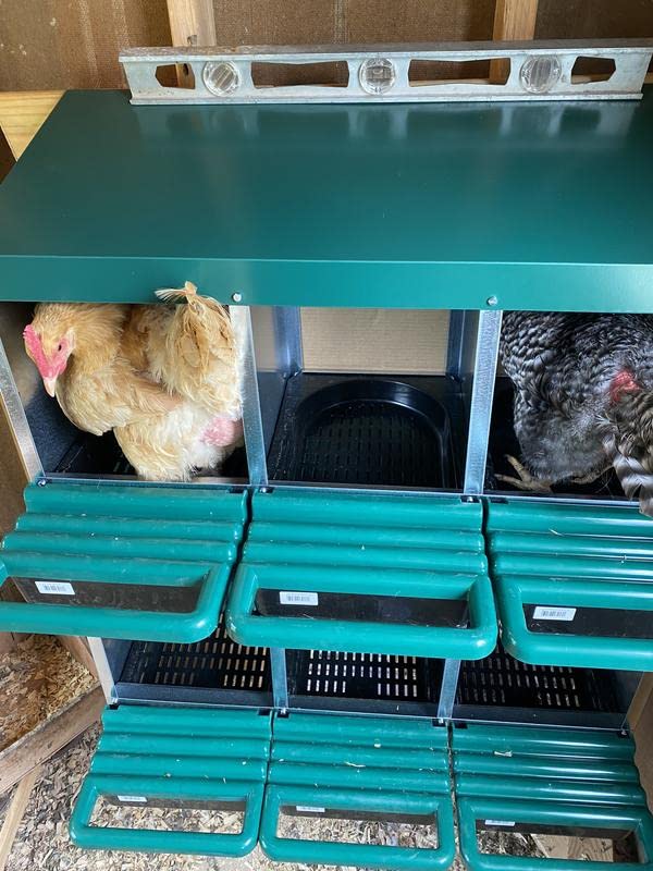 3 Compartment Roll Out Nesting Box for Chickens with Lid Cover E665