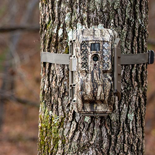 Cellular Trail Camera T21750