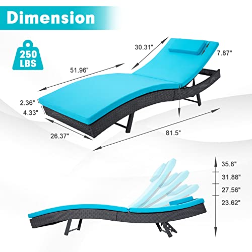 Outdoor Reclining PE Rattan Steel Frame Chaise Lounge Chairs Set of 2 K682