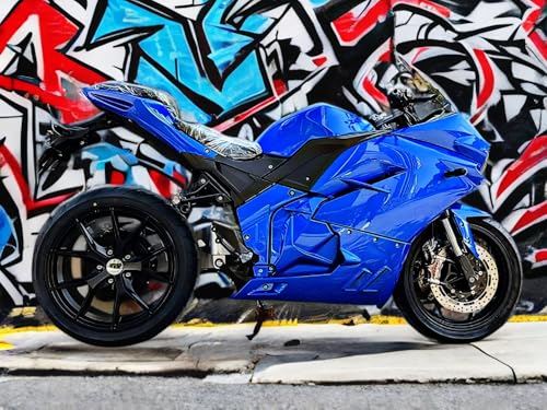 Electric Sport Motorcycle with Automatic Transmission T220