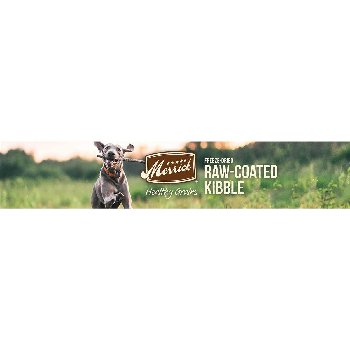 Freeze Dried Raw Coated Kibble Dry Dog Food Puppy Recipe Z451