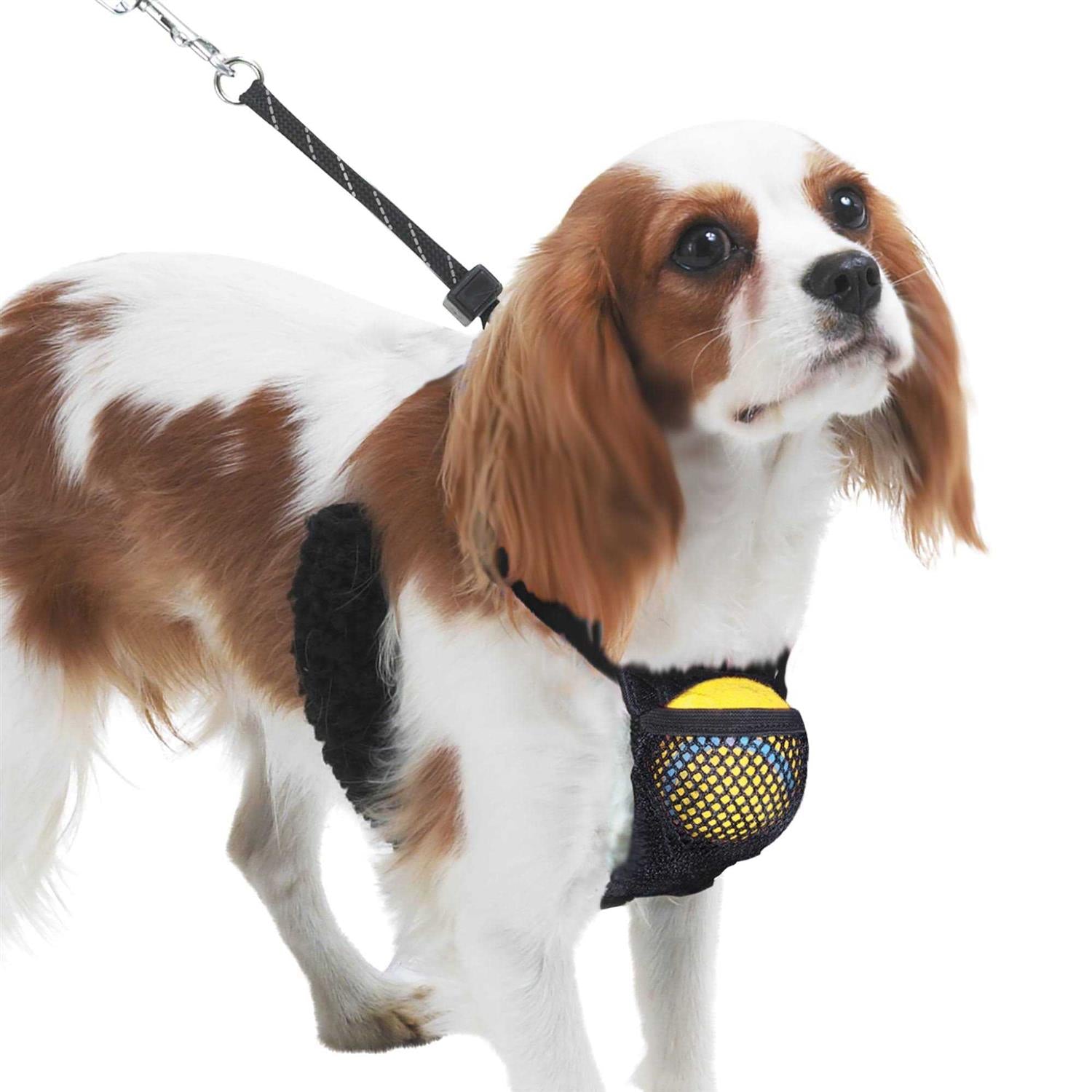 Nylon Mesh Non-Pulling Dog Harness V2338