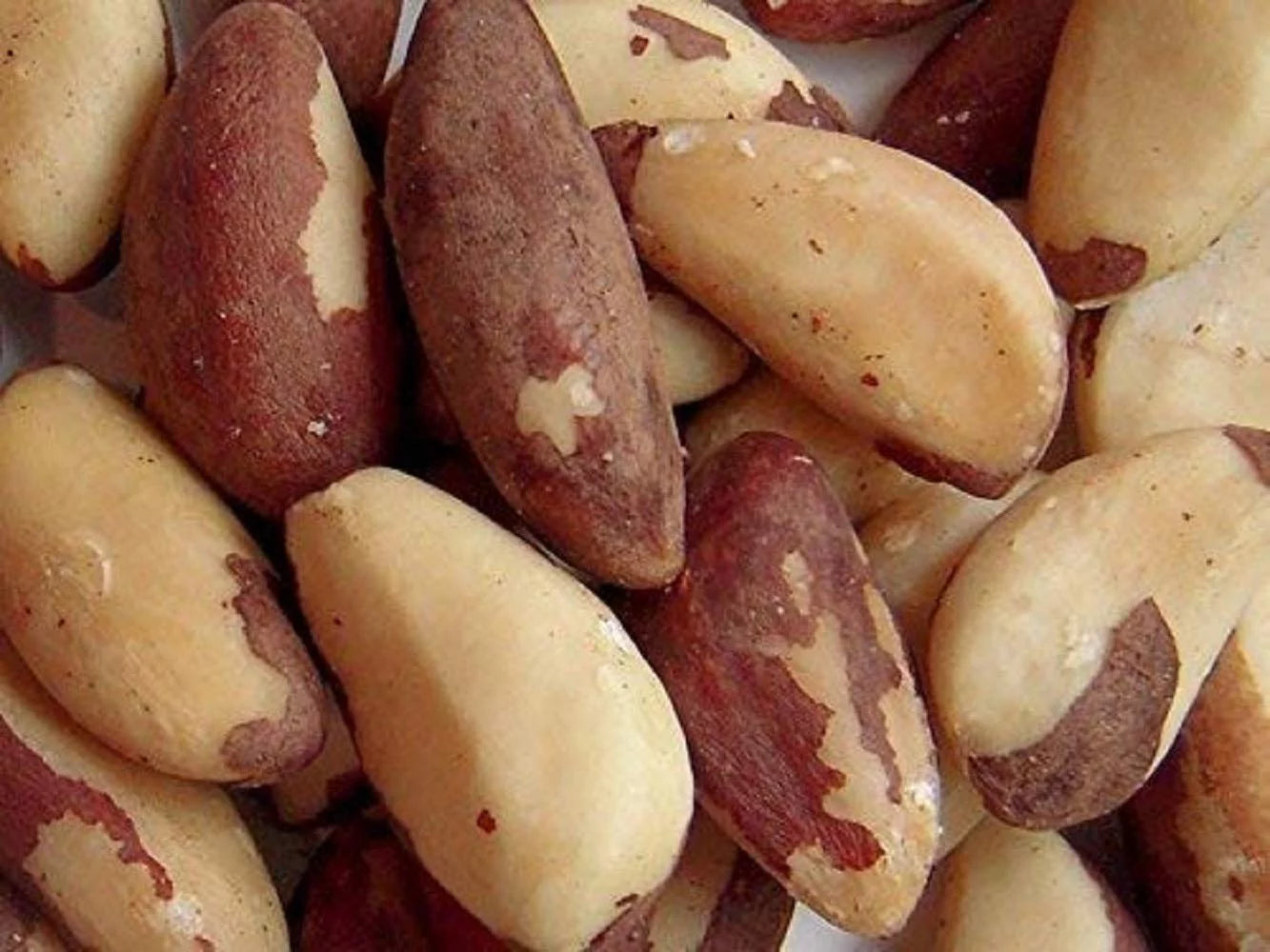 Raw Brazil Nuts P769