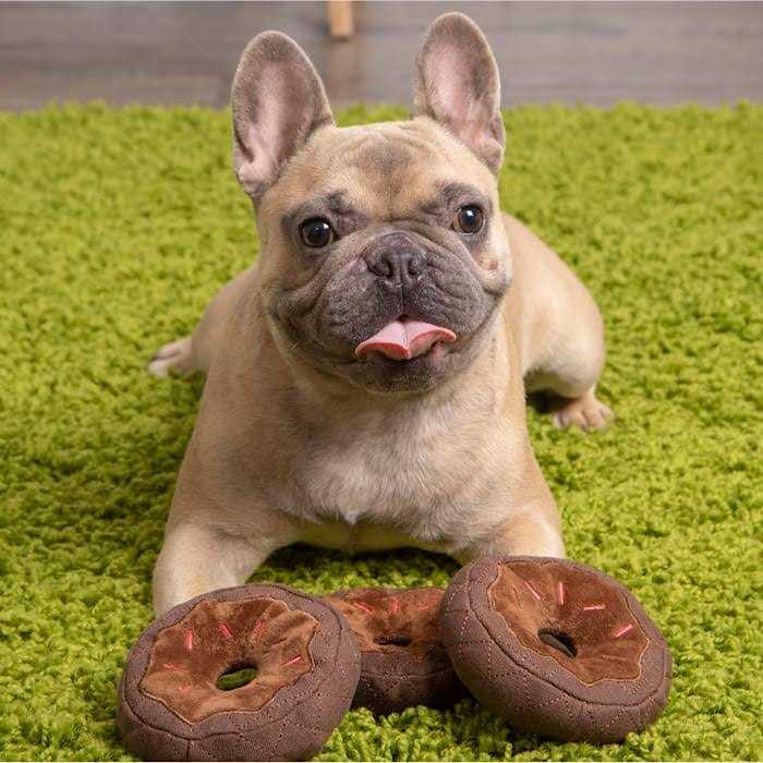 Donut Squeaky Plush Dog Toy A85525