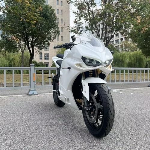 Electric Sport Motorcycle with Automatic Transmission T220